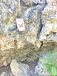 IMG_20250705_145145