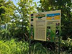 IMG_20250705_112017