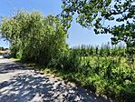 IMG_20250705_112134