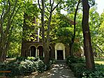 IMG_20250705_112833