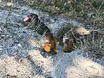 IMG_20250705_135844