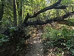 IMG_20250721_104704
