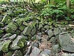 IMG_20250721_121650