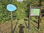 20250721_182137