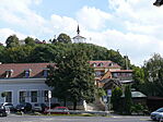 P1010528