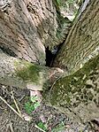 IMG20250730134151