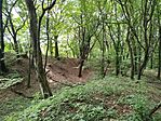 IMG_20250719_135140