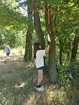 IMG_20250701_113803