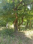 IMG_20250701_112720