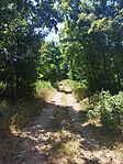 IMG_20250701_112847
