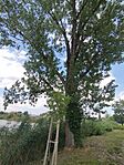 IMG_20250720_122431
