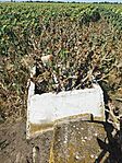 IMG_20250725_160120