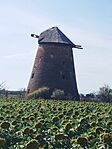 IMG_20250725_160809