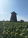 IMG_20250725_160609
