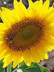 IMG_20250725_161340