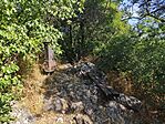 IMG_20250712_085806