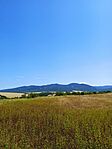 IMG_20250713_113611_1
