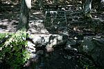 DSC01924