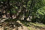 HER_6882_tn
