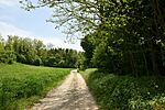 HidegkútiForrás_001_tn