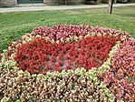 IMG_20250829_183554
