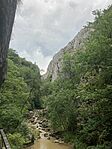 IMG_1801