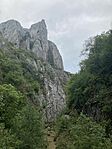 IMG_1805