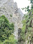 IMG_1796