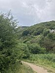 IMG_1802