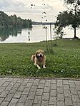 IMG_0459