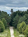 IMG_9558