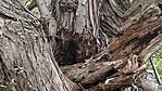 IMG_20250801_150858