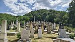 IMG_20250629_143523
