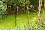 IMG_20250804_103134