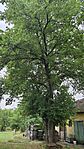 IMG_20250804_103216
