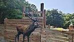 IMG_20250807_153821