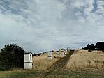 IMG_20250803_161944