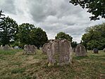 IMG_20250803_134150