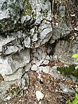 IMG_20250803_121209