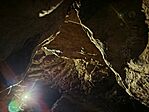 IMG_20250803_115821