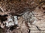 IMG_20250803_115546