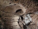 IMG_20250803_115134