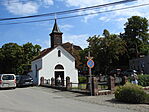DSCN5246