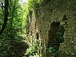 IMG_20250801_113409