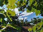 IMG_20250801_153136