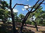 IMG_20250801_153113