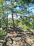 IMG_20250801_153313
