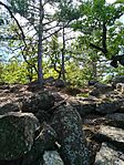 IMG_20250801_153614