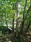 IMG_20250810_122902