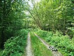 IMG_20250810_121826